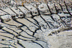 Yellowstone-mud-puddle-web