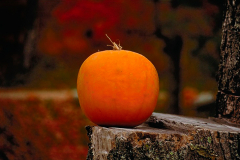 Pumpkin-2-HDR